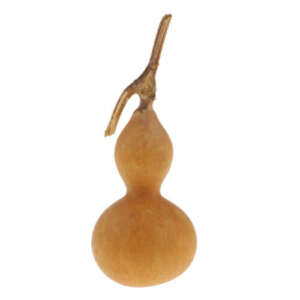 bottle-gourd-/-calabash-2-sizes